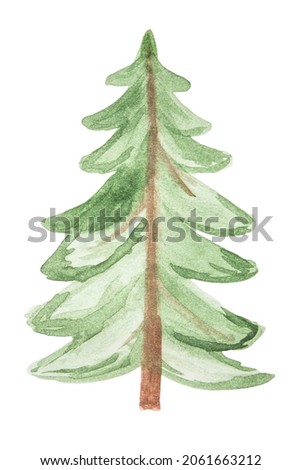 Hand-drawn watercolor green Christmas tree isolated on white background. Illustration
