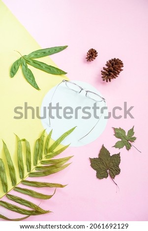top view of square glasses on pastel color background
yellow and pink. green leaf and pine flower decoration