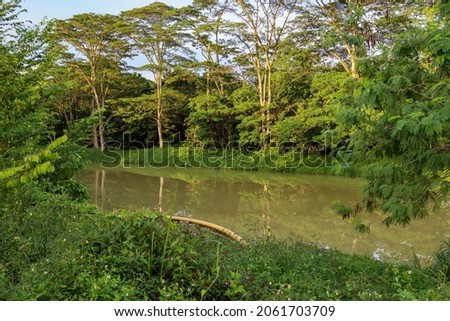 Reflections of the trees onto the clean unpolluted waters of the Seletar Simpang Kiri River at sunset in 15 Oct 2021. The government enforces and polices river pollution strictly via the NEA.  Royalty-Free Stock Photo #2061703709