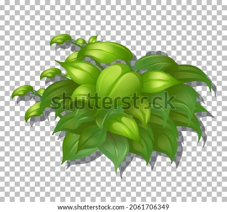 Tropical plant on transparent background illustration