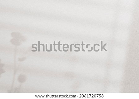 Flower shadow background, aesthetic botanical design in beige