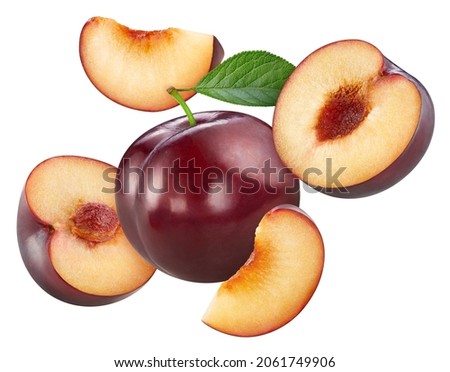 Plum with leaves isolated on white fresh and ripe plum. Fresh organic plum