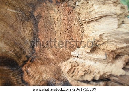 an abstract background of brown wood pattern close-up