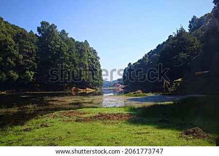 green lake in the middle of the woods with big pines on villa del carbon state of mexico Royalty-Free Stock Photo #2061773747