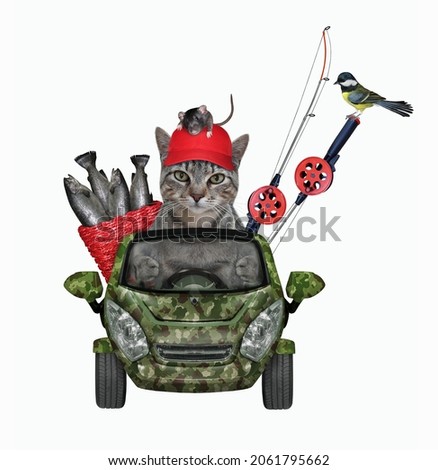 A gray cat in a red hat returns from fishing trip by car with a wicker basket full of fish. White background. Isolated.