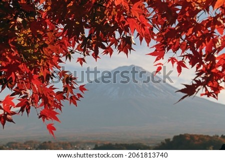 Beautiful mount Fudji with red maple autumn leaves. Momidji season. Lake Kawaguchi, Japan