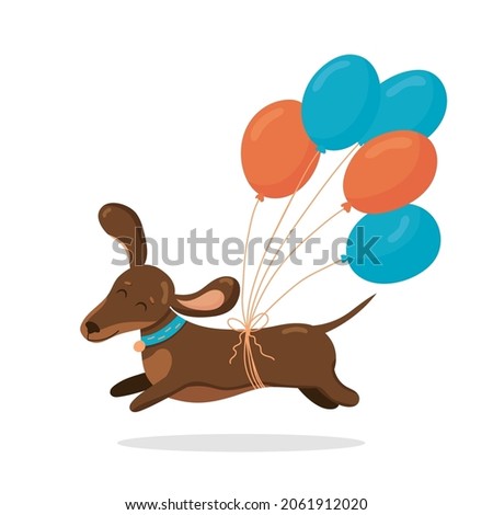 Cute dachshund run in love mood with air balloons isolated on white background. Vector illustration. Birthday greeting day card element