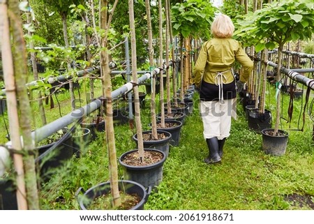 Gardener between trees with irrigation system in the nursery of the nursery Royalty-Free Stock Photo #2061918671