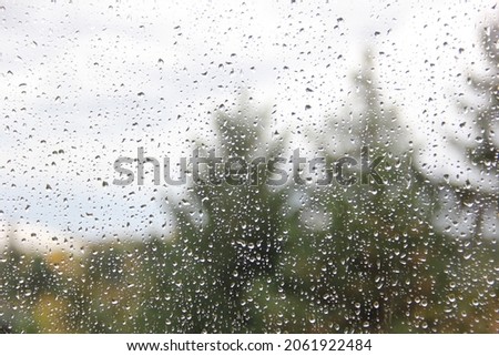Raindrops on the glass, green forest in the background.