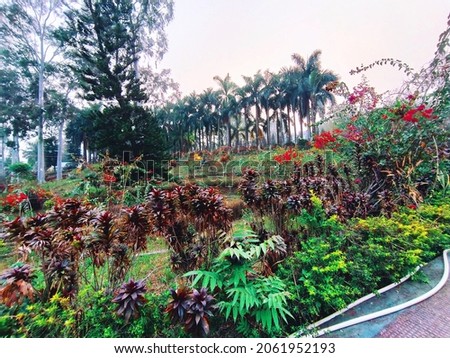 A scenery inside Rabindra Kanan (a tourist spot in Agartala) Royalty-Free Stock Photo #2061952193