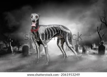 Skeleton dog in halloween hell