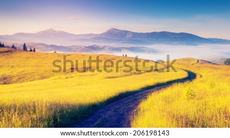 Fantastic sunny hills under morning blue sky. Dramatic scenery. Carpathian, Ukraine, Europe. Beauty world. Royalty-Free Stock Photo #206198143