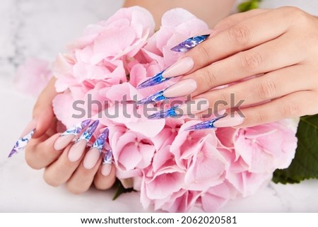 Hands with long artificial blue french manicured nails and pink Hortensia flower. Fashion and stylish manicure.