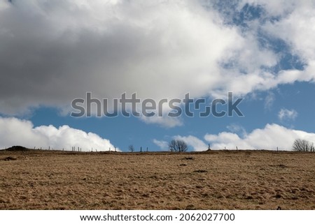 Black Forest view at a Winter Landscape