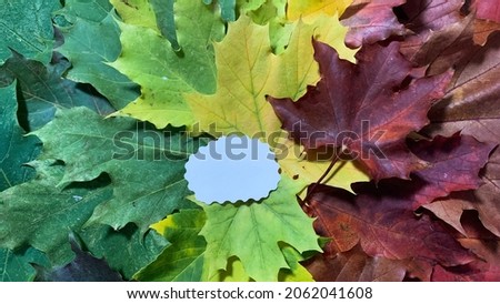 write a message on the fall color of the leaves