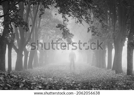 A picture of the obscure ghostly figure in the foggy autumn alley. Shallow depth of field