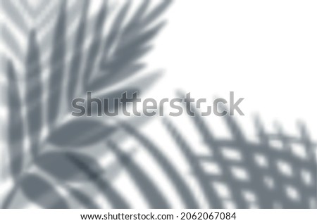Realistic shadow overlay effects mockup top view composition with exotic leaves shadows on wall vector illustration