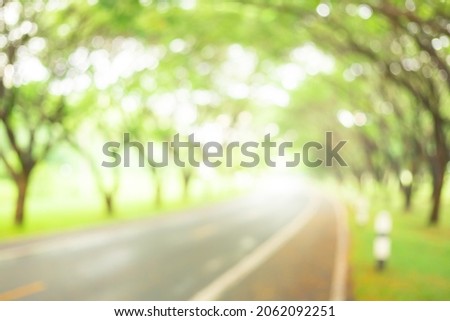 Blurred city park and street with nature background. Blurry green tree bokeh light with beautiful road. Defocused