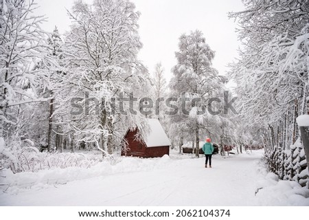 A calm tranquil view of the snow covered trees in the snowdrifts. A beautiful woman in coloured jacket walking through the Magical winter forest. Natural landscape with cloudy sky. 