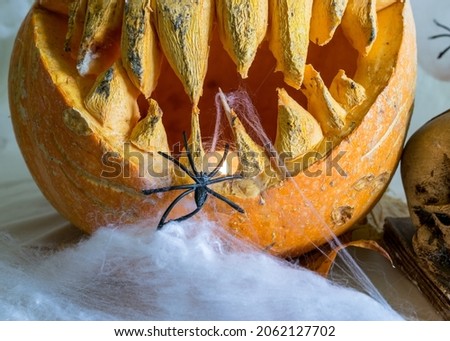 Halloween theme, carved pumpkin with a scary smile, spiders, white cobweb background, decoration and holiday concept, carved pumpkin for a fun party, Jack O's lantern