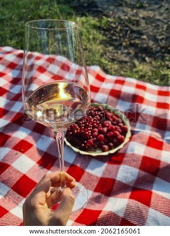 PicK nick with wine glass and white pink sparkling wine or prossecco or cava raspberries, red currant and other berries 