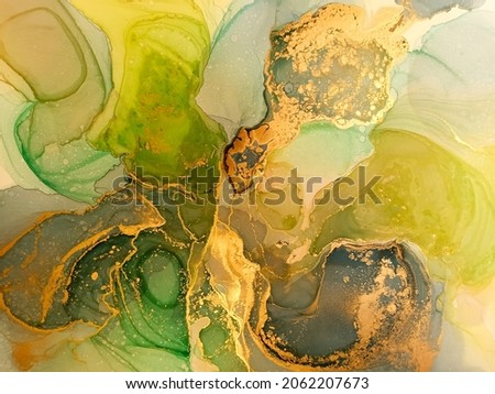 Olive Marble Background. Alcohol Ink Art. Vegetarian Marbling Print. Beautiful Oil Paint. Mint Alcoholic Ink. Gold Watercolor Blotch.