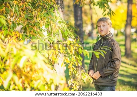 child collects herbarium of yellow autumn leaves by plucking them from branches of bush Royalty-Free Stock Photo #2062216433