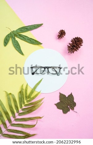 top view. square glasses, green leaves, dry leaves. pine flowers on a pastel color background
yellow and pink.