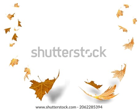 autumn leaves leaf background isolated flying on the wind air space for your text shadows Royalty-Free Stock Photo #2062285394