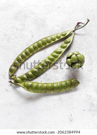 Petai, Bitter Beans, Parkia speciosa seeds. Petai is one type of vegetable that resembles sprouts that are often found in Indonesia, has a distinctive aroma that enhances appetite. Selective focus.