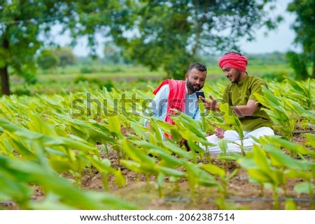 Indian farmers using smartphone at green turmeric agriculture field.