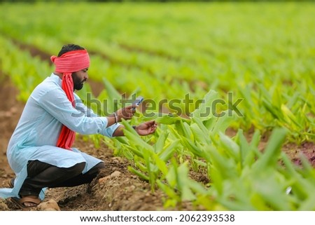 Indian farmer using smartphone at agriculture field