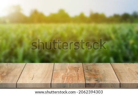 Wooden table top on blur corn field background in morning  atmosphere.For montage product display or design key visual layout.View of copy space.
