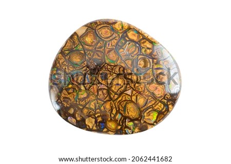 Genuine australian light brown matrix boulder multi color play neon blue, green and red veins opal freeform oval cabochon polished loose gemstone isolated on white background. Gemology, mineralogy.
