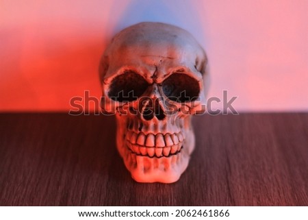 Halloween holiday and skull.  Background for Halloween.  Orange light.  The head of the skull stands on a tree.  Autumn day.