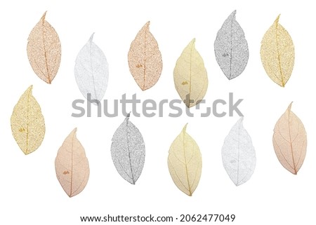 Decorative leaves skeleton. Glitter clip art set 