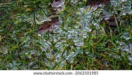 Glittering pieces of ice on the green grass. Spring background with rime on young greens. Melting ice on the ground.