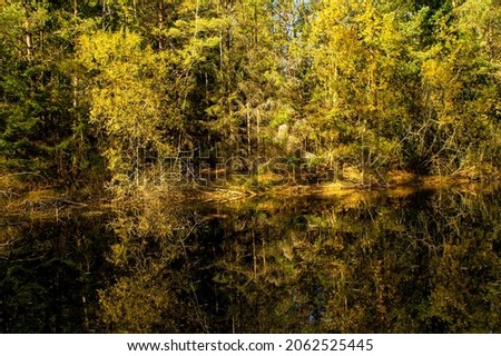 Beautiful landscape with a river and autumn forest. Reflection of trees in water