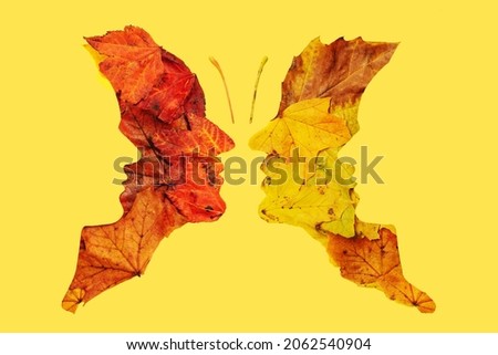 Psychology and optical illusion abstract concept four faces butterfly image. Flat lay arrangement of different shapes and color of maple leaves against yellow background.