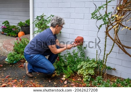 Middle aged woman putting a foam cover on an outdoor spigot as part of fall outdoor chores getting ready for winter
 Royalty-Free Stock Photo #2062627208