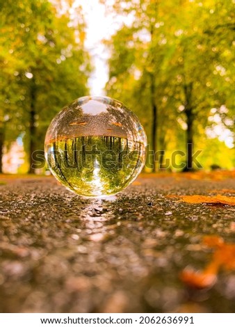 This is a lensball picture taken in Lausanne, Switzerland. It shows some autumnal colors and leaves.