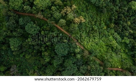 Aerial top view rural road in the forest, dirt road or mud road and rain forest, Aerial view road in nature, Ecosystem and healthy environment Royalty-Free Stock Photo #2062679759