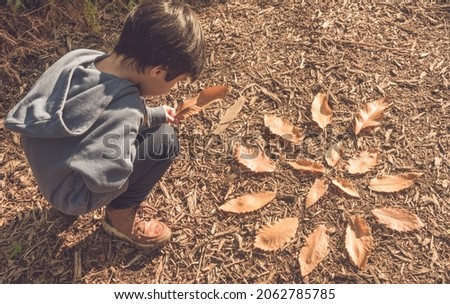 Child creating land art with autumn leaves in the forest. Creative children activity. Forest school.