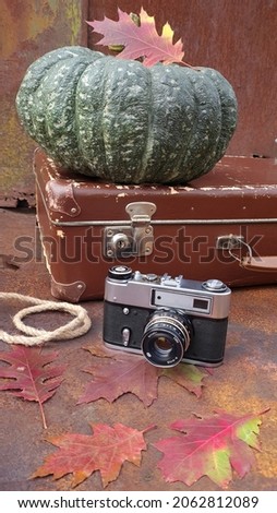 Retro suitcase, green pumpkin, oak leaves, camera on a rusty metal background. Halloween