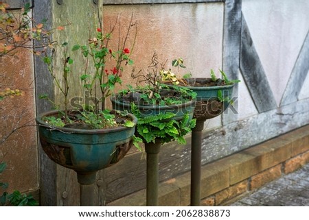 Iron flower pots in the garden