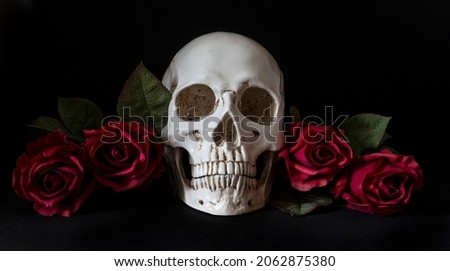skull and roses still life against black background 