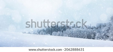 Wonderful snowy winter landscape with snowfall