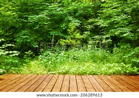 Wooden floor in a green forest. Concepts of spa, relax, wellness, nature etc.