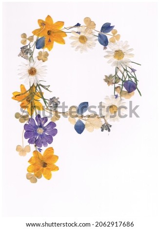 Pressed flowers alphabet summer yellow blue daisy clover