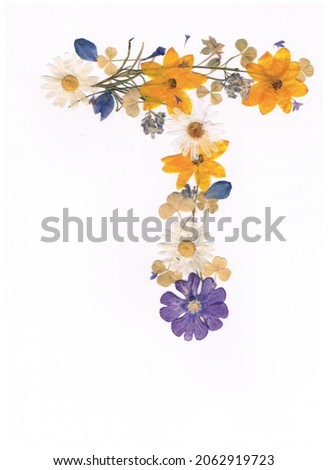 Summer Alphabet yellow blue daisy clover